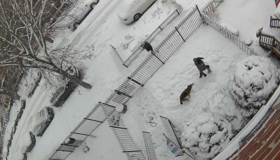 Reolink Camera Two_01_Reolink Home Hub One_20260125143858.jpg